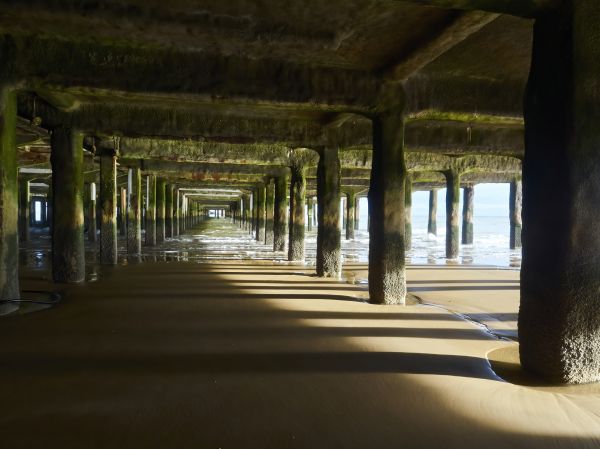Concrete Pier Repair in Lake Mary